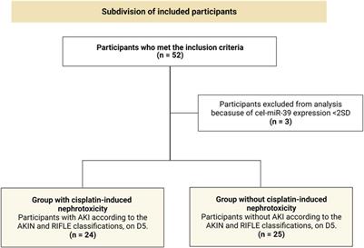 miR-6805-5p as a biomarker of cisplatin-induced nephrotoxicity in patients with head and neck cancer